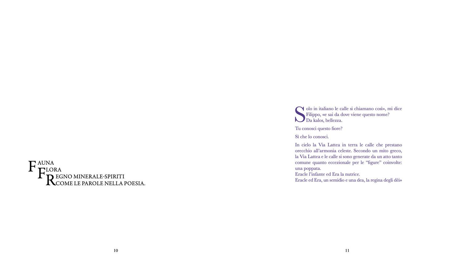 Libro Calle